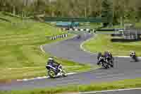 Lower Group White Bikes